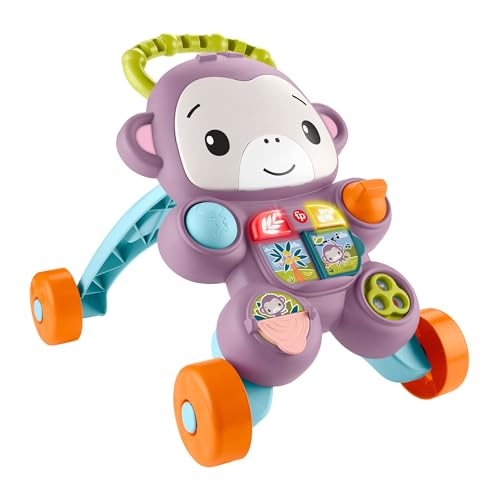 Andador Fisher-Price Aprenda Comigo Amigo Macaco