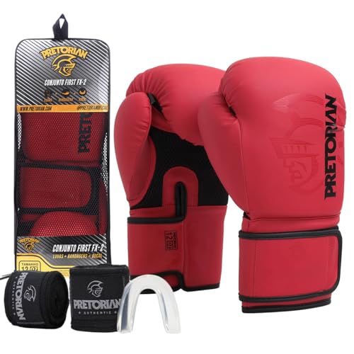 Luva de Boxe Pretorian FX2