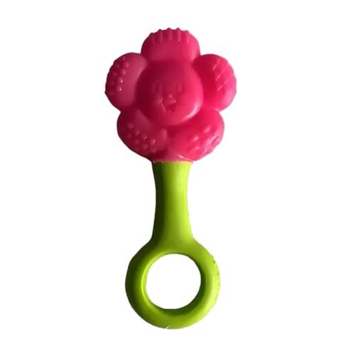 Pais e Filhos Fofiflor - Mordedor E Chocalho